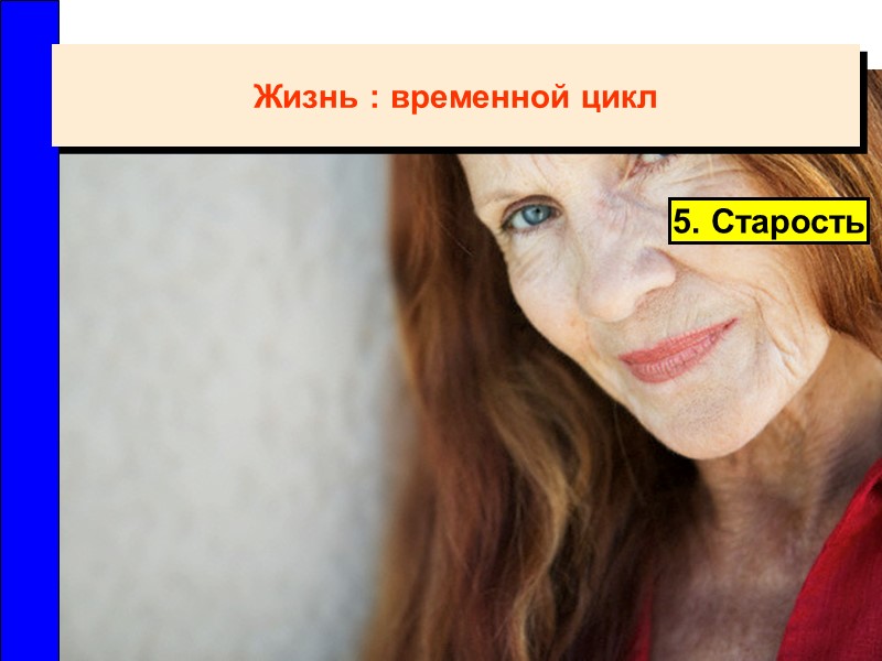 5. Старость Жизнь : временной цикл